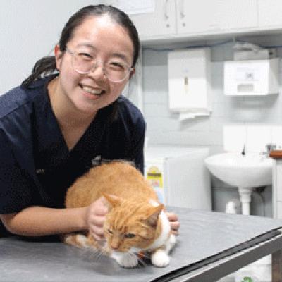 Vet nurse cuddling a ginger cat