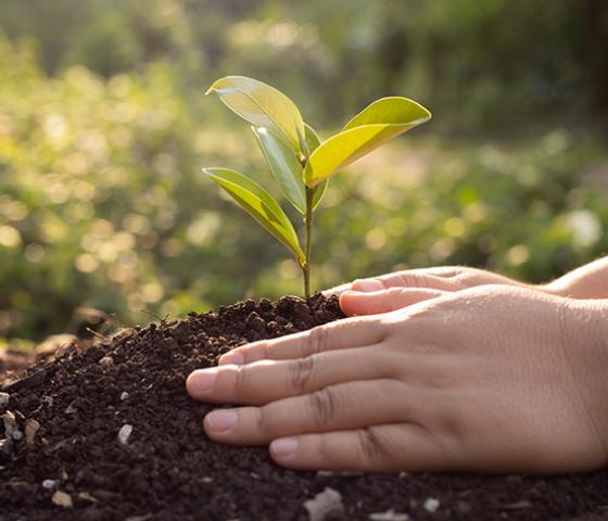 AHC21020 Certificate II in Conservation and Ecosystem Management