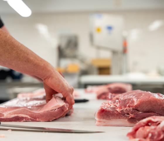 close up of hands handling meat