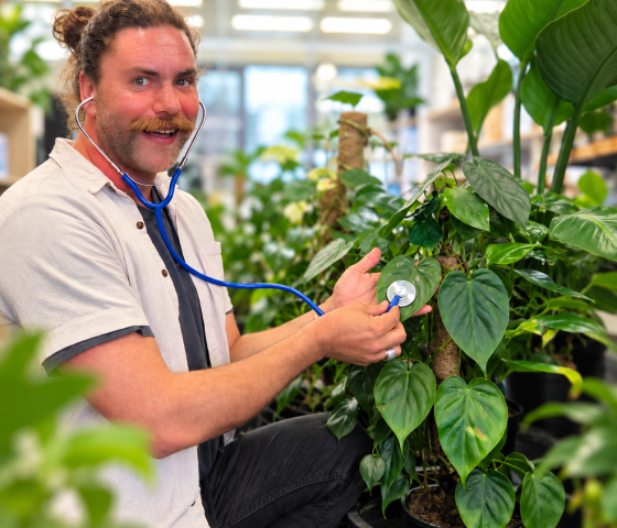 Lecturer looking after a plant, holding a stethascope